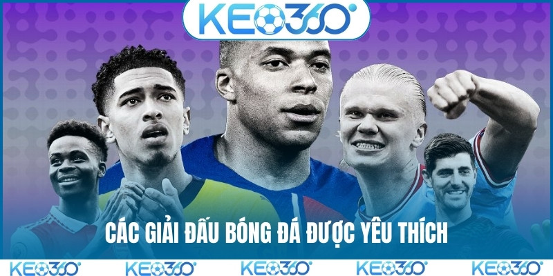 Các giải đấu bóng đá được yêu thích