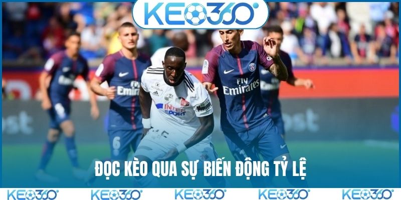 Đọc kèo theo cách của chuyên gia