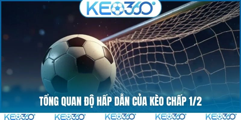 Tổng quan độ hấp dẫn của kèo chấp 1/2