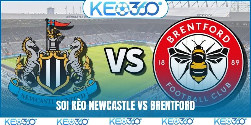 Newcastle vs Brentford